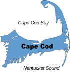 {short description of image}